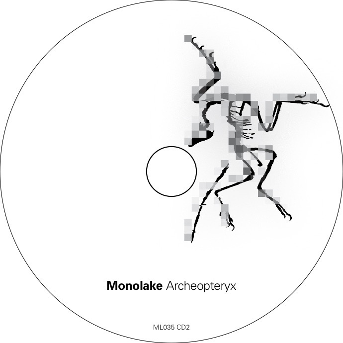 Monolake - Archaepteryx CD print